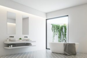 室内植物 推薦 風水